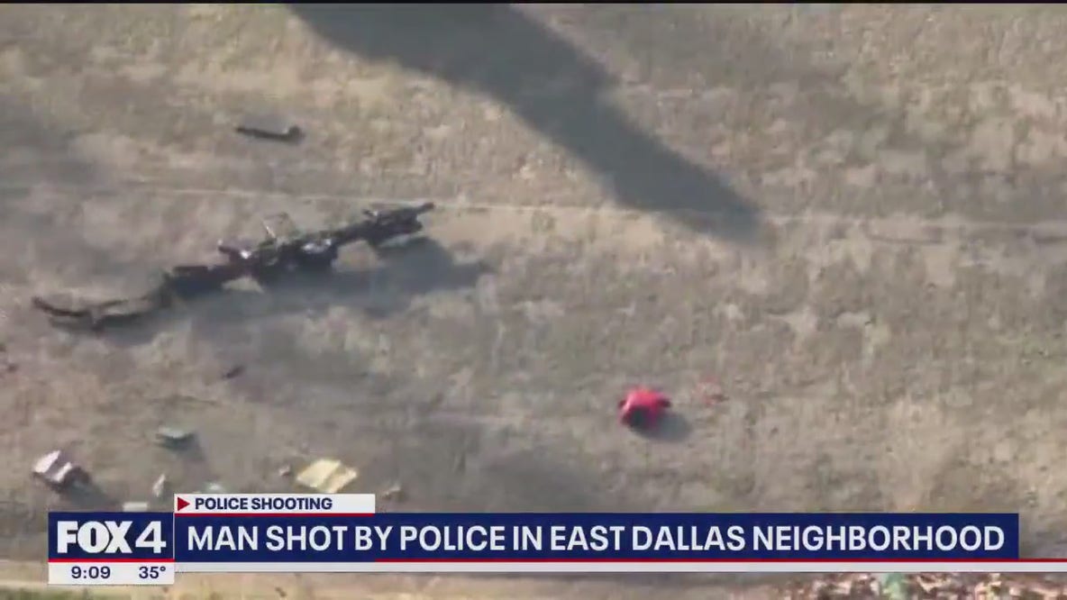 DPD officers shoot man waving gun at cars: police